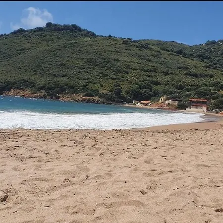 Corse *